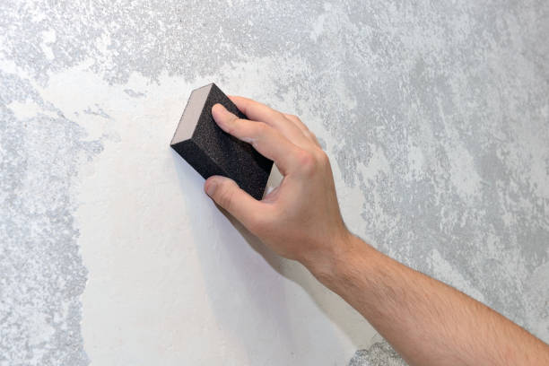Best Mold Documentation for Insurance Claims  in Wenona, IL