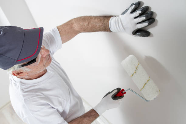 Reliable Wenona, IL Mold Removal Solutions