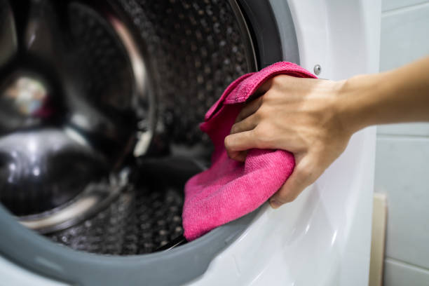 Best HVAC Mold Inspection and Cleaning  in Wenona, IL