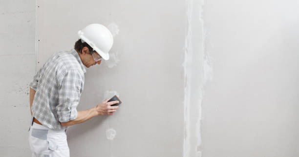 Best Basement Mold Removal  in Wenona, IL