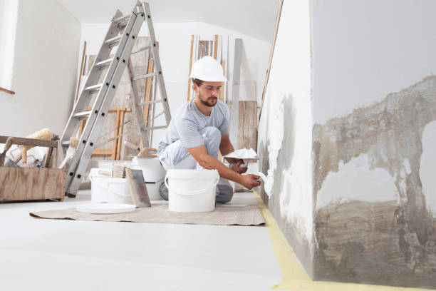  Wenona, IL Mold Removal Pros