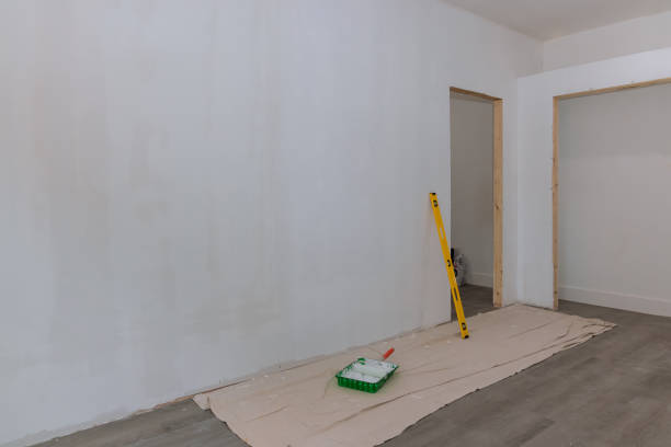 Best Attic Mold Removal  in Wenona, IL
