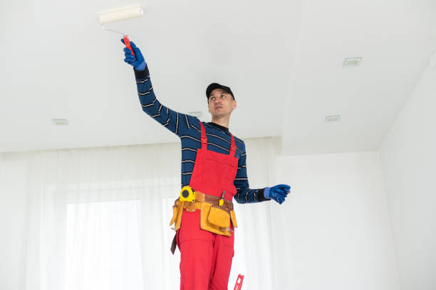 Best Mold Prevention Services  in Wenona, IL