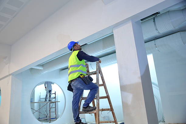 Best Post-Construction Mold Inspection  in Wenona, IL