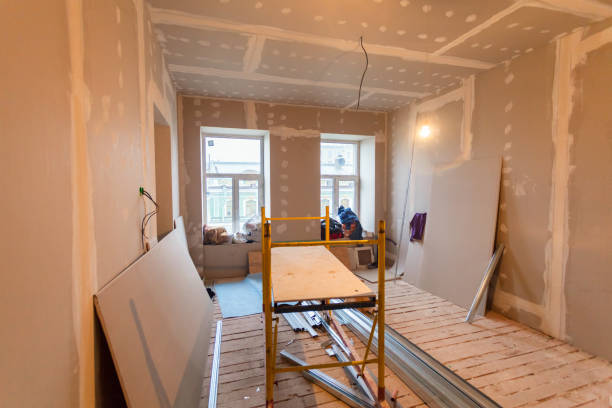 Best Industrial Mold Remediation  in Wenona, IL