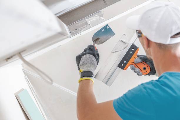 Best Commercial Mold Inspection  in Wenona, IL